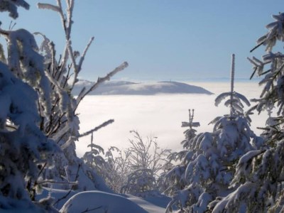 Apartment Hideaway near Black Forest - Environment photo 37