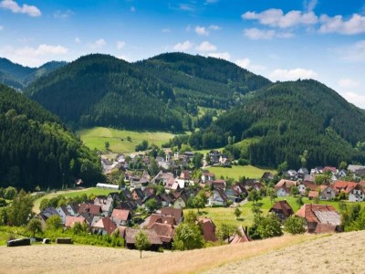 Apartment Hideaway near Black Forest - Environment photo 38