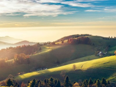 Apartment Hideaway near Black Forest - Environment photo 39