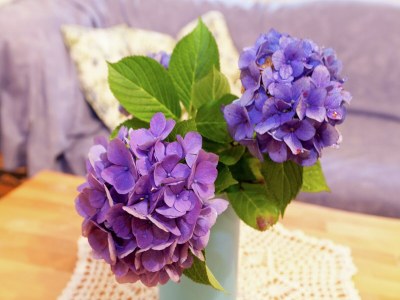 Apartment Hideaway near Black Forest - Outdoor photo 40