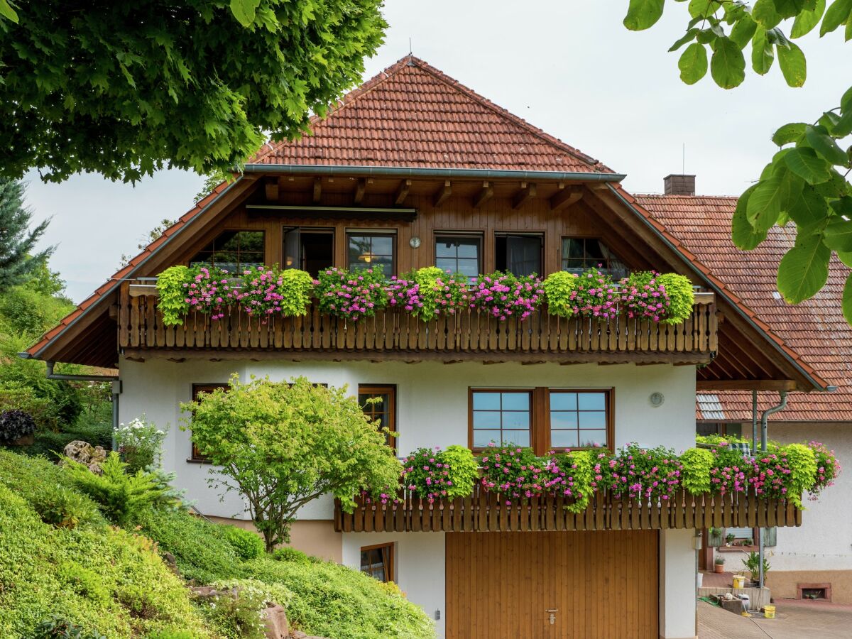 Farmhouse Schwarzwald-Ferienwohnung auf dem Bauernhof