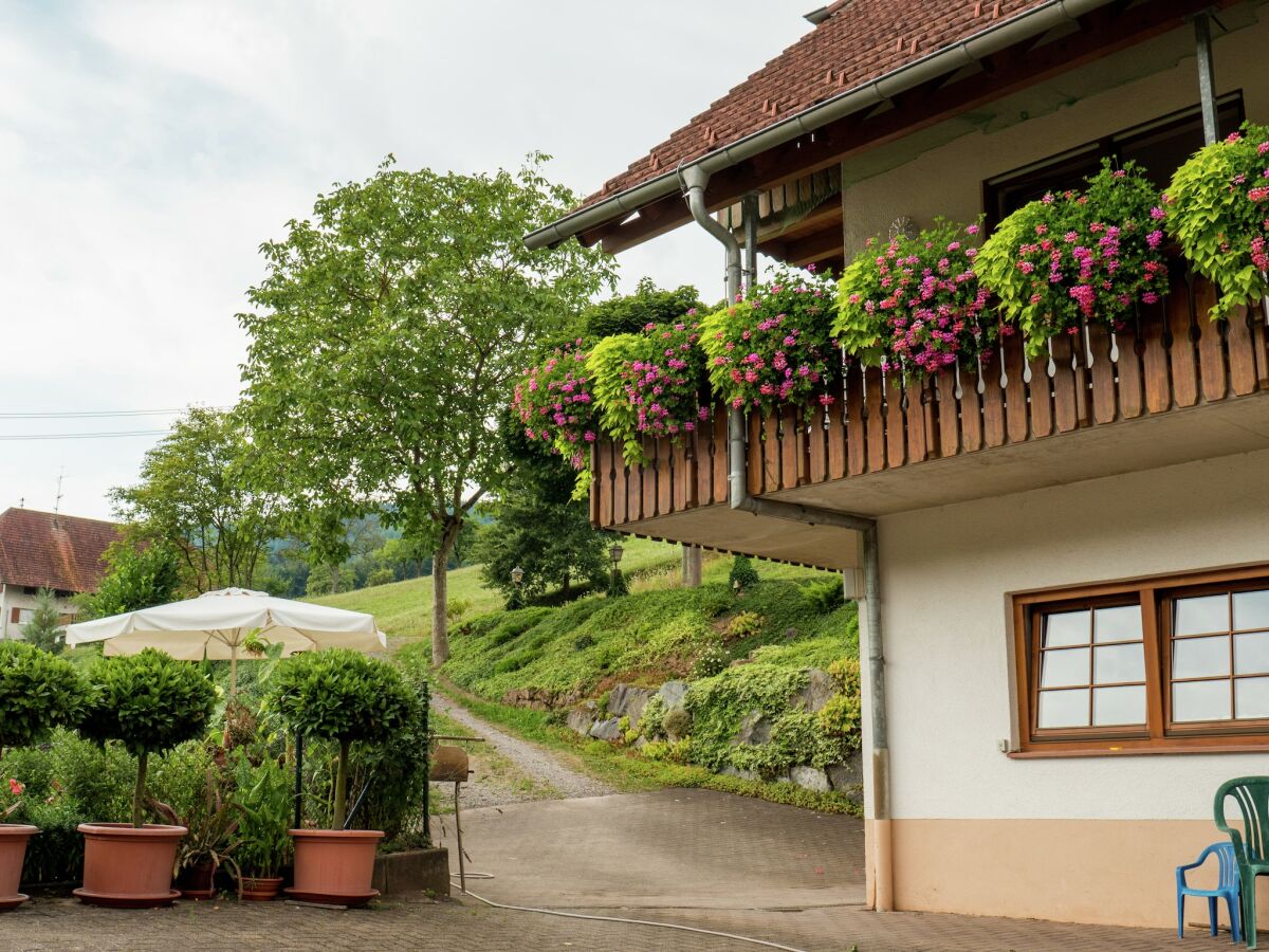 Farmhouse Schwarzwald-Ferienwohnung auf dem Bauernhof - Outdoor photo 3