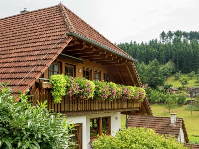 Farmhouse Schwarzwald-Ferienwohnung auf dem Bauernhof - Outdoor photo 7