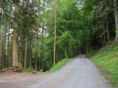 Farmhouse Schwarzwald-Ferienwohnung auf dem Bauernhof - Environment photo 25