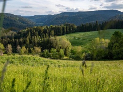 Farmhouse Schwarzwald-Ferienwohnung auf dem Bauernhof - Environment photo 37