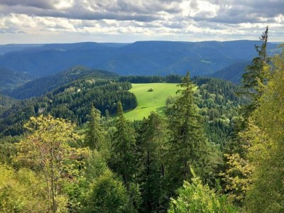 Farmhouse Schwarzwald-Ferienwohnung auf dem Bauernhof - Environment photo 39