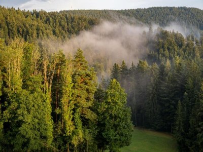 Farmhouse Schwarzwald-Ferienwohnung auf dem Bauernhof - Environment photo 41