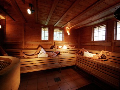 Apartment Spa-Apartment im ParkBlick in Middle Black Forest - Apartment