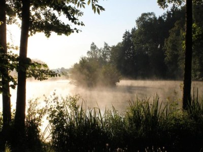 Apartment Spa-Apartment im ParkBlick - Environment photo 28