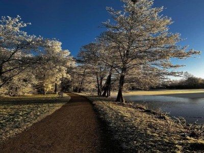 Apartment Spa-Apartment im ParkBlick - Environment photo 33