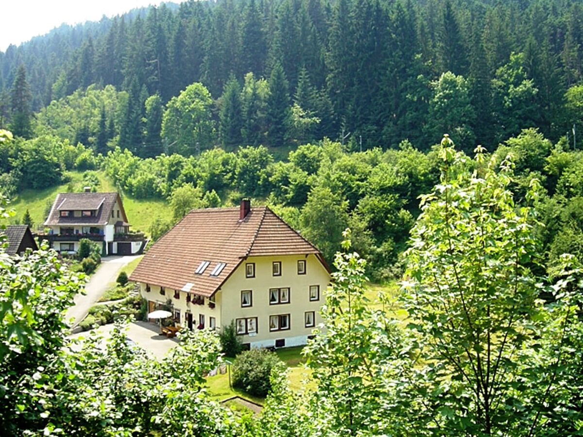 Apartment Waldfamilienaufenthalt, Triberg - Outdoor photo 3