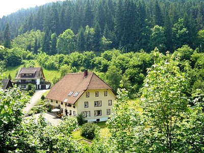 Apartment Waldfamilienaufenthalt, Triberg - Outdoor photo 3