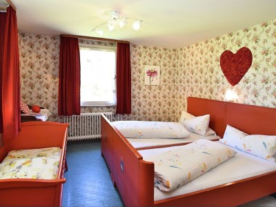 Apartment Waldfamilienaufenthalt, Triberg - Features photo 11