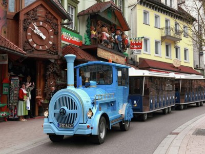 Apartment Waldfamilienaufenthalt, Triberg - Environment photo 14