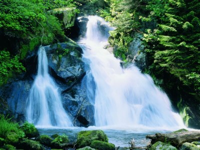 Apartment Waldfamilienaufenthalt, Triberg - Environment photo 15