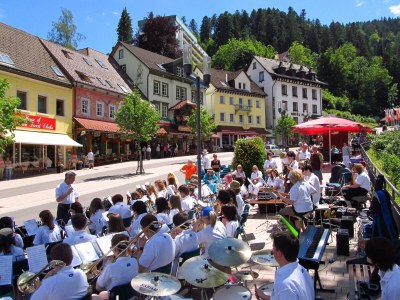 Apartment Waldfamilienaufenthalt, Triberg - Environment photo 16