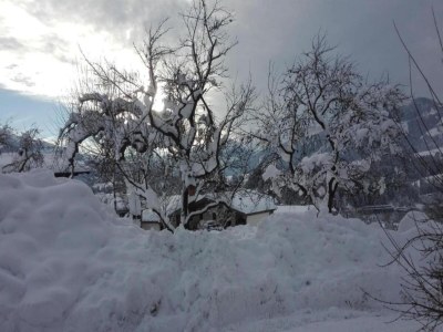 Apartment Waldfamilienaufenthalt, Triberg - Environment photo 19