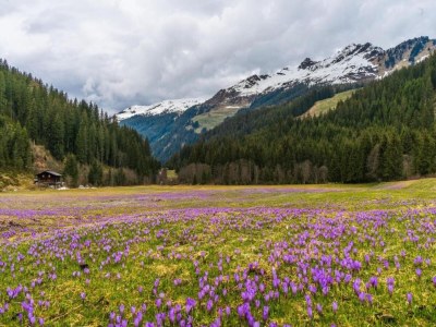 Apartment Waldfamilienaufenthalt, Triberg - Environment photo 25