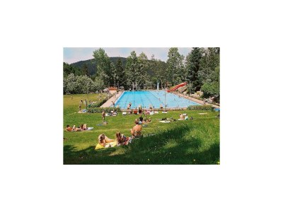 Apartment Waldfamilienaufenthalt, Triberg - Environment photo 32