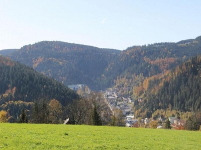 Apartment Ferienwohnung in Gütenbach - Environment photo 22