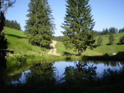 Apartment Ferienwohnung in Gütenbach - Environment photo 23