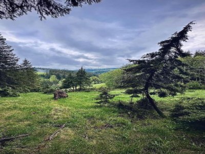 Apartment Ferienwohnung in Gütenbach - Environment photo 24
