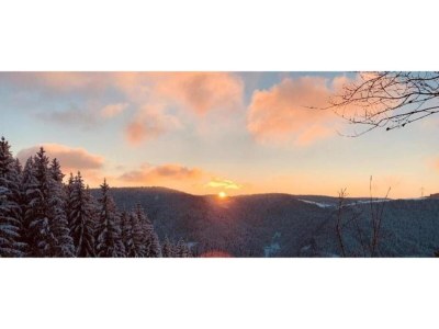 Apartment Ferienwohnung in Gütenbach - Environment photo 26