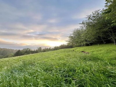 Apartment Ferienwohnung in Gütenbach - Environment photo 27