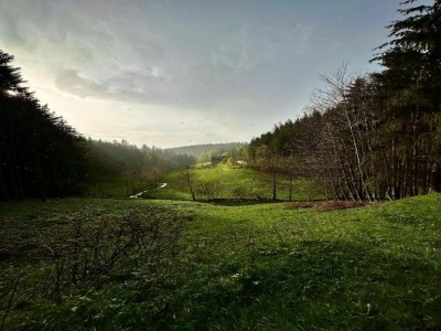Apartment Ferienwohnung in Gütenbach - Environment photo 28