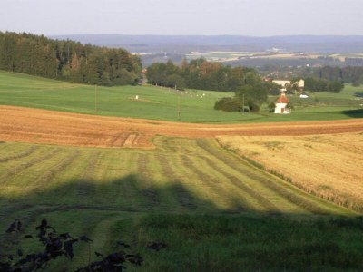 Apartment Ferienwohnung in Gütenbach - Environment photo 29