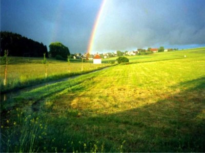 Apartment Ferienwohnung in Gütenbach - Environment photo 31