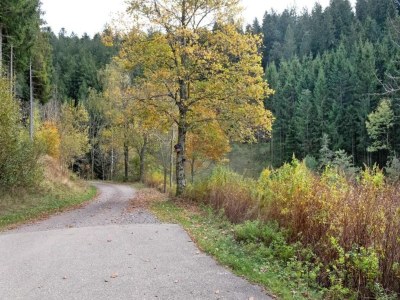 Apartment Ferienwohnung in Gütenbach - Environment photo 32