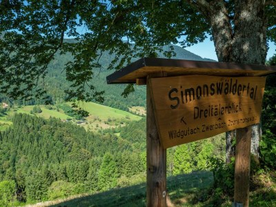 Apartment Ferienwohnung in Gütenbach - Environment photo 34