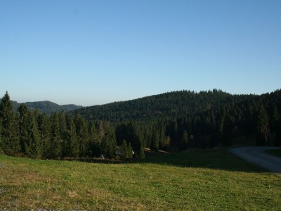 Apartment Ferienwohnung in Gütenbach - Environment photo 35