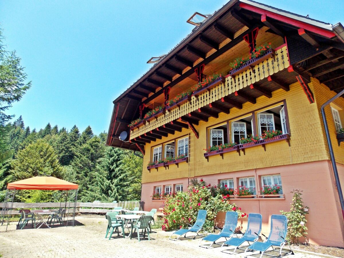 Holiday house Ferienwohnung mit Talblick in Todtmoos