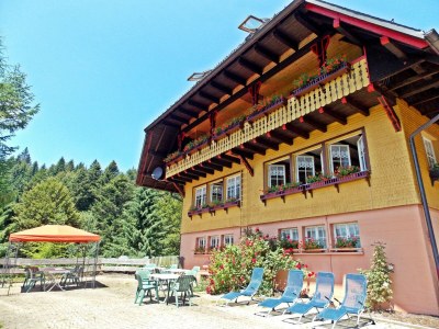 Holiday house Ferienwohnung mit Talblick in Todtmoos in Southern Black Forest - Holiday house