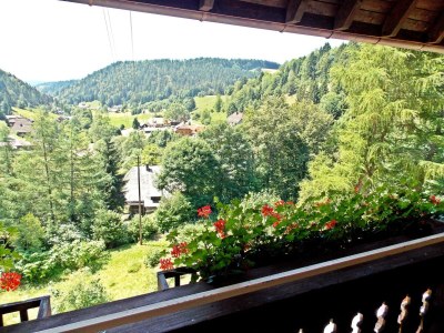 Holiday house Ferienwohnung mit Talblick in Todtmoos - Outdoor photo 3