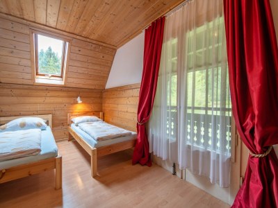 Holiday house Ferienwohnung mit Talblick in Todtmoos - Features photo 25