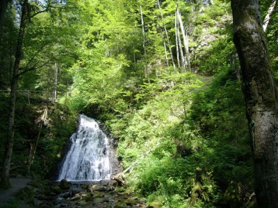 Holiday house Ferienwohnung mit Talblick in Todtmoos - Environment photo 31