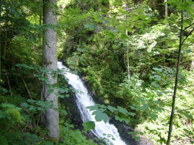 Holiday house Ferienwohnung mit Talblick in Todtmoos - Environment photo 32