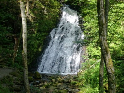 Holiday house Ferienwohnung mit Talblick in Todtmoos - Environment photo 33