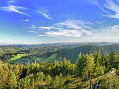 Holiday house Ferienwohnung mit Talblick in Todtmoos - Environment photo 34