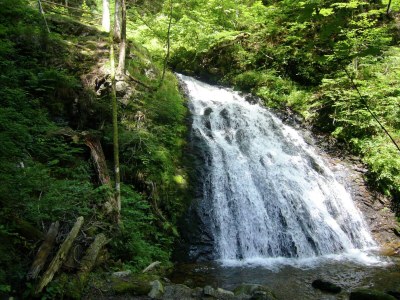 Holiday house Ferienwohnung mit Talblick in Todtmoos - Environment photo 35
