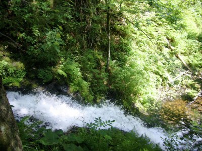 Holiday house Ferienwohnung mit Talblick in Todtmoos - Environment photo 36