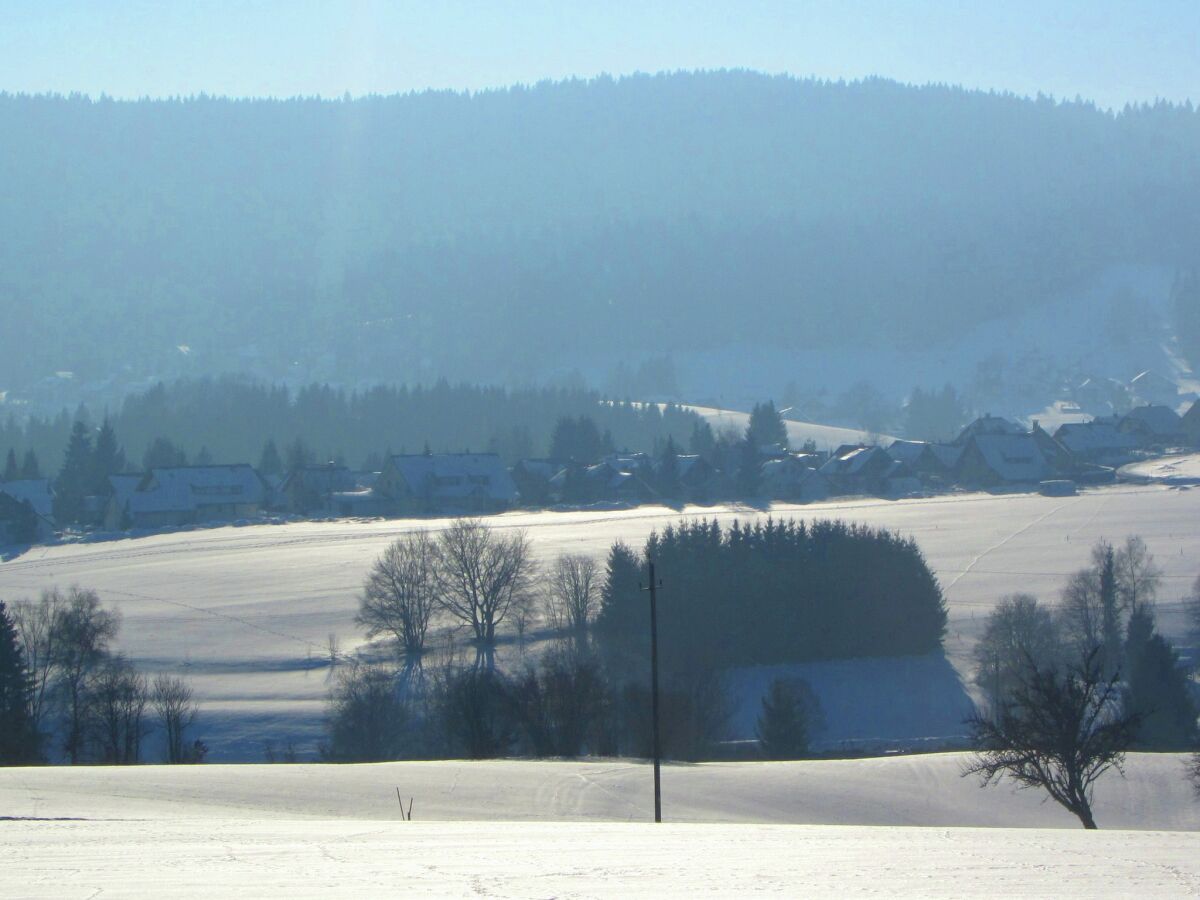 Apartment Ferienwohnung, Herrischried - Outdoor photo 4