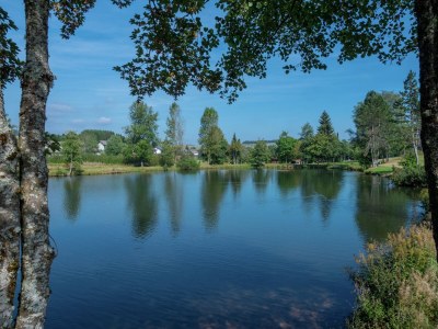 Apartment Ferienwohnung, Herrischried - Environment photo 21
