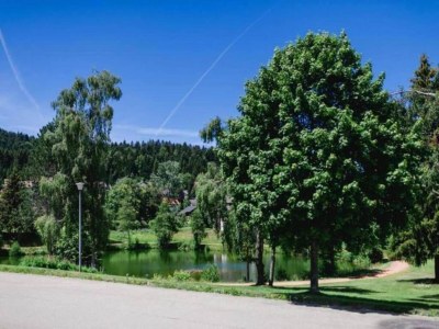 Apartment Ferienwohnung, Herrischried - Environment photo 24