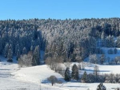 Apartment Ferienwohnung, Herrischried - Environment photo 25