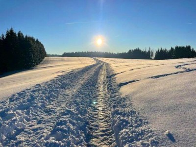 Apartment Ferienwohnung, Herrischried - Environment photo 26
