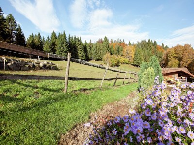Apartment Wohnung in Dachsberg-Urberg - Outdoor photo 8